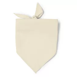 PN1734-Esarfa-in-forma-de-triunghi-intr-o-combinatie-de-bumbac-si-poliester-JARANA-BEJ