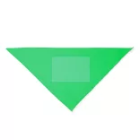 PN1734-Esarfa-in-forma-de-triunghi-intr-o-combinatie-de-bumbac-si-poliester-JARANA-VERDE-TEI