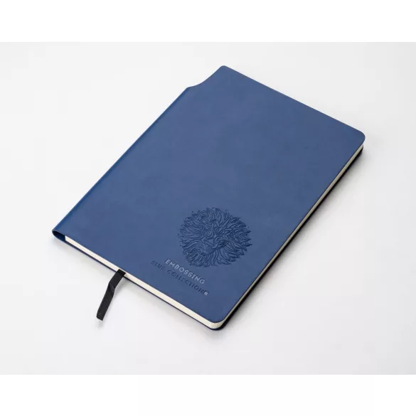 17678-03-notebook-a5-moli