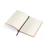 17678-04-notebook-a5-moli