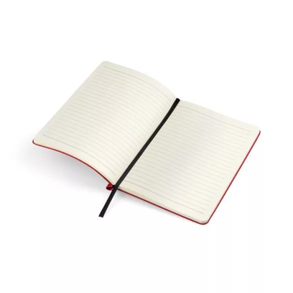 17678-04-notebook-a5-moli
