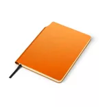 17678-07-notebook-a5-moli