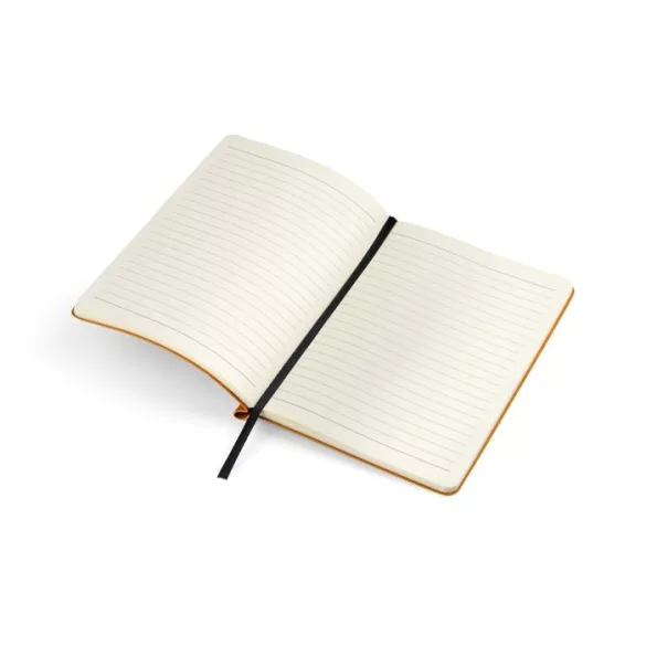 17678-07-notebook-a5-moli