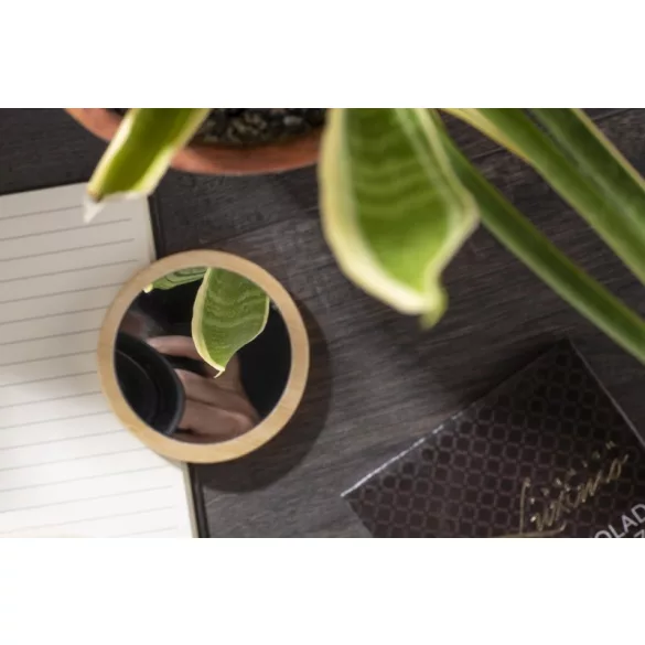 17719-Oglinda-de-buzunar-LALA