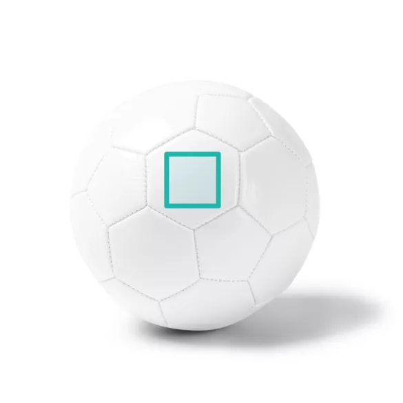 FB1796-Minge-de-fotbal-din-piele-artificiala-FABIO-ALB