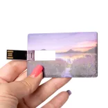 US1858-Memory-stick-tip-card-16-GB-DATIS