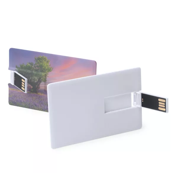 US1858-Memory-stick-tip-card-16-GB-DATIS