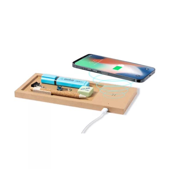 1868-000MK-Organizator-Taron