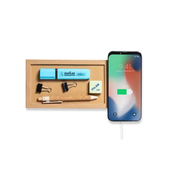1868-000MK-Organizator-Taron
