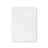 1886-001MK-Sticky-notes-Zomek