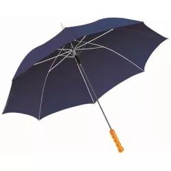 19547898-umbrela-automata