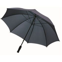 19547936-umbrela-automata