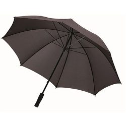 19547937-umbrela-automata