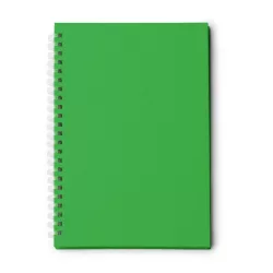 NB2011-Notes-A5-MISTROL-VERDE