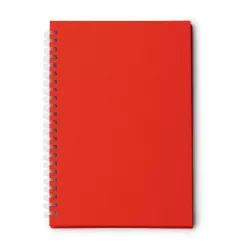 NB2011-Notes-A5-MISTROL-ROSU