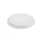 20527-01-Frisbee-ZING