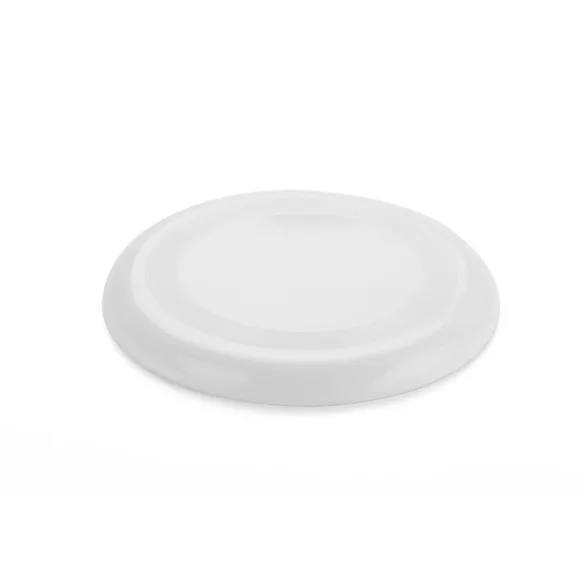 20527-01-Frisbee-ZING