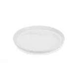 20527-01-Frisbee-ZING