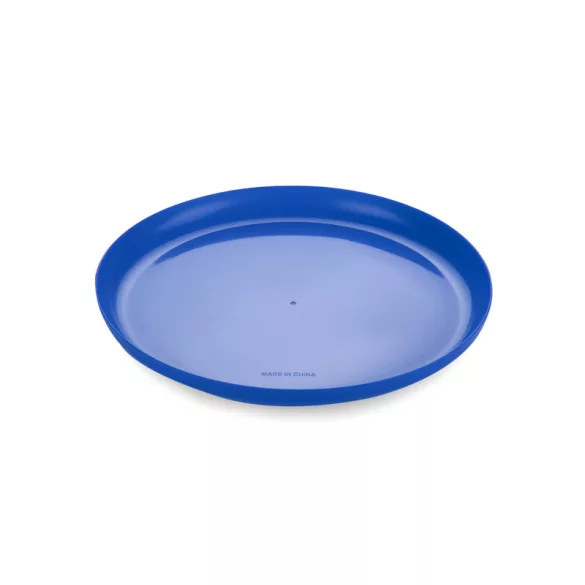 20527-03-Frisbee-ZING