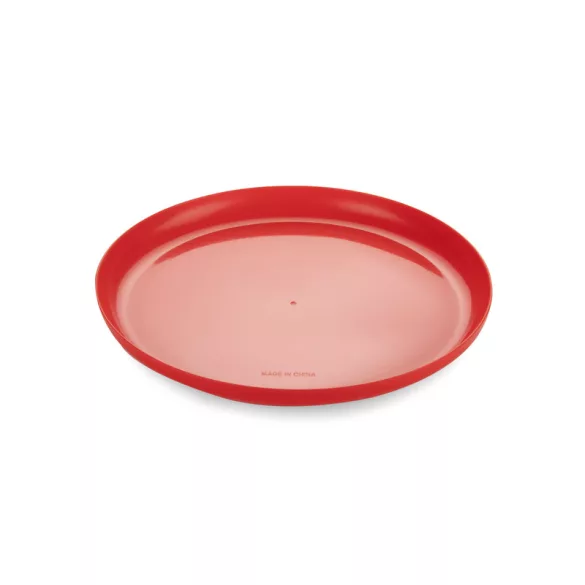 20527-04-Frisbee-ZING