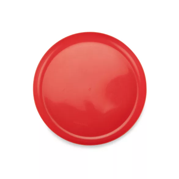 20527-04-Frisbee-ZING