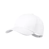 20835-001MK-Sapca-Oconor