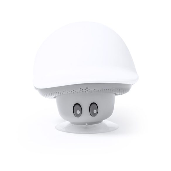 20855-001MK-Difuzor-Heston