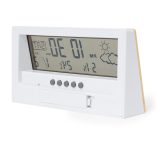 20875-000MK-Statie-meteo-Roamer