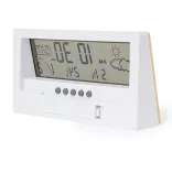 20875-000MK-Statie-meteo-Roamer