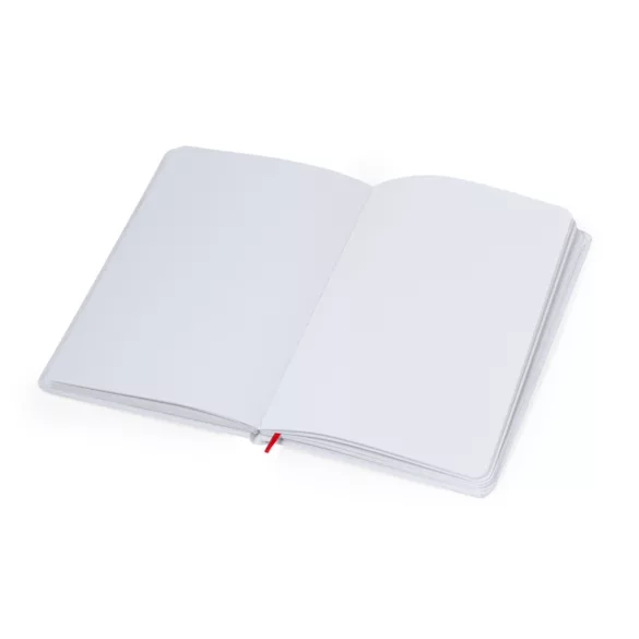 20946-003MK-Notebook-Groly