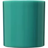 21001405-Cana-Standard-300-ml