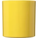 21001408-Cana-Standard-300-ml