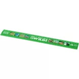 21046861-Rigla-Refari-30-cm