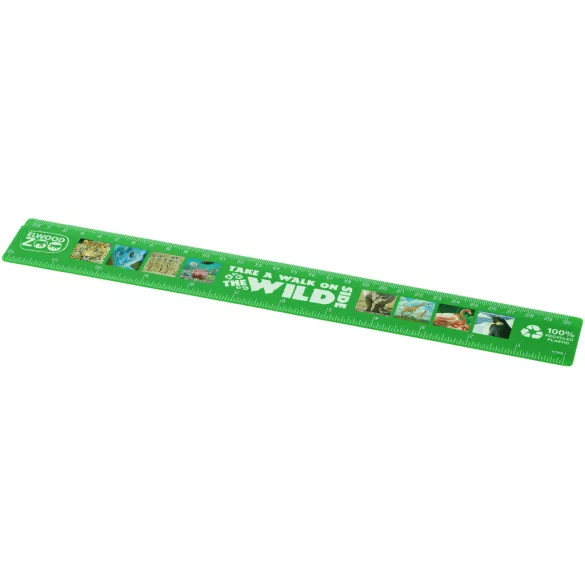 21046861-Rigla-Refari-30-cm