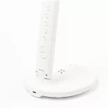 21068-001MK-Lampa-Evanex