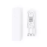 21185-001MK-Set-cabluri-de-incarcare-Tich