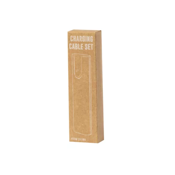 21185-001MK-Set-cabluri-de-incarcare-Tich