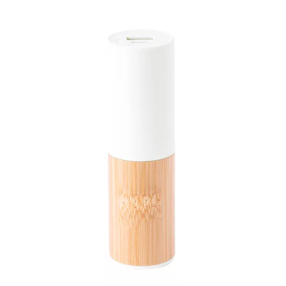 21222-001MK-Baterie-externa-Reneh