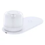 21357-001MK-Lampa-Reginal