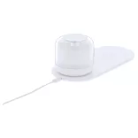 21357-001MK-Lampa-Reginal