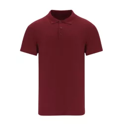 21836-431MK-Tricou-polo-colorat-pentru-adulti-Chaplin-BURGUNDY