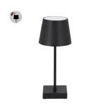 21898-001MK-Lampa-Madison