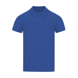   22339-019MK - Tricou polo colorat pentru barbati - Charles - BLUE