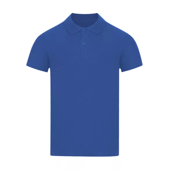 22339-019MK - Tricou polo colorat pentru barbati - Charles - BLUE