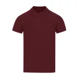 22339-431MK - Tricou polo colorat pentru barbati - Charles - BURGUNDY