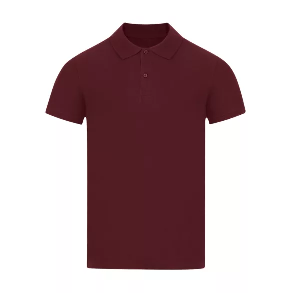 22339-431MK - Tricou polo colorat pentru barbati - Charles - BURGUNDY