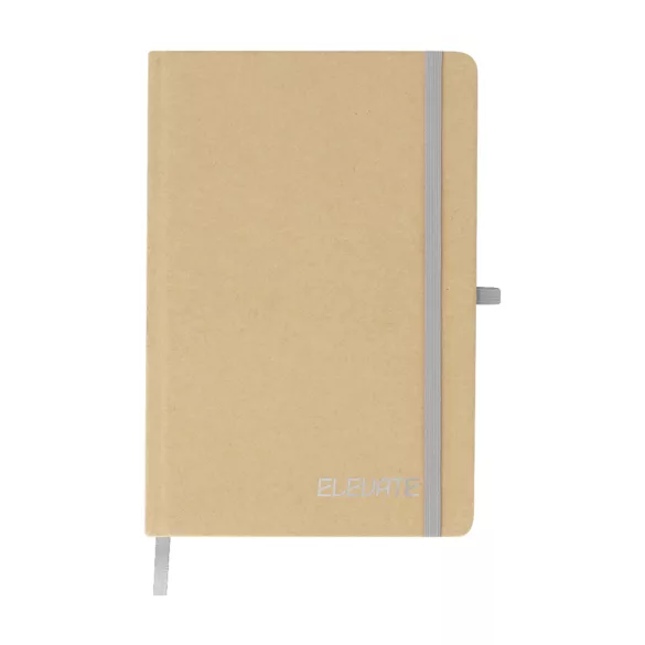22365-009MK - Notes - Natyel - SILVER