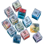 2324-009-Set-de-jocuri-Leslie