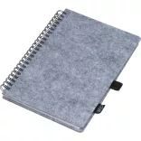 2374407-Notes-cu-pasla-RPET