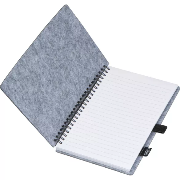 2374407-Notes-cu-pasla-RPET